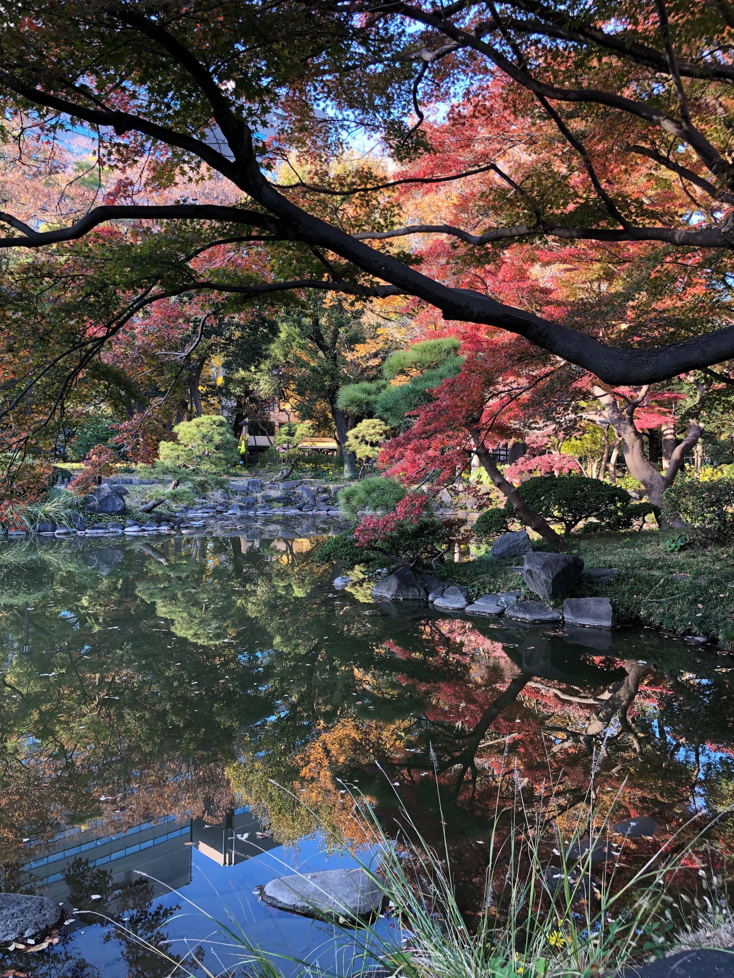 Water surface reflecting autumn maple leaves in Tokyo park — Mizukagami, the inspiration behind the Reflection Room brand
