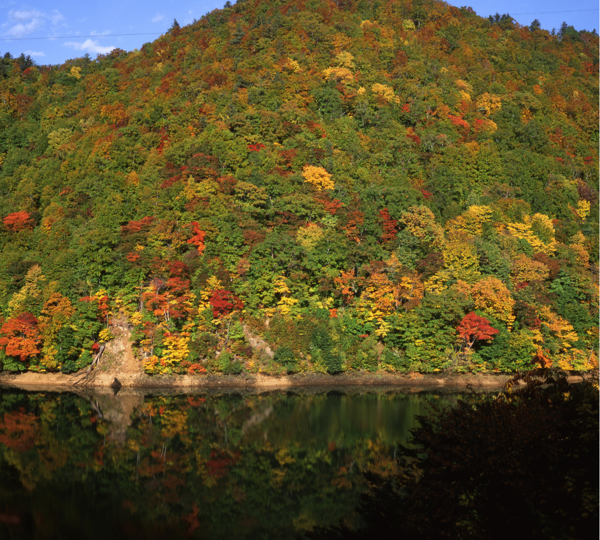 A quiet autumn mountain reflected in a still pond. Soft layers of red, gold, and green trees surround the water. The surface mirrors the colors gently, holding a sense of calm transition — a moment between change and stillness.