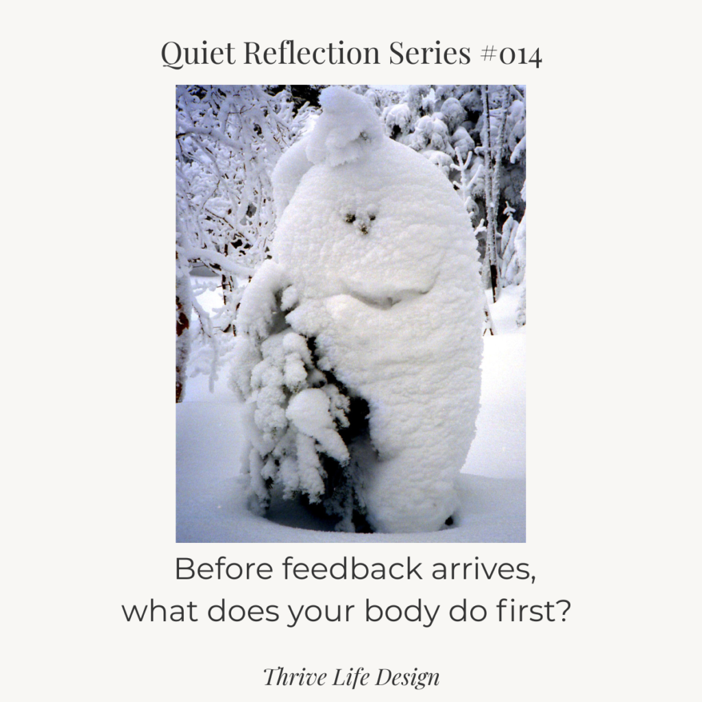 A square graphic titled “Quiet Reflection Series #14” In the center is a winter nature photograph of trees covered in thick snow, forming a small, rounded shape that resembles a white animal or creature. The image feels still and quiet. At the bottom, the text reads: “Before feedback arrives, what does your body do first?” The Thrive Life Design title appears below.