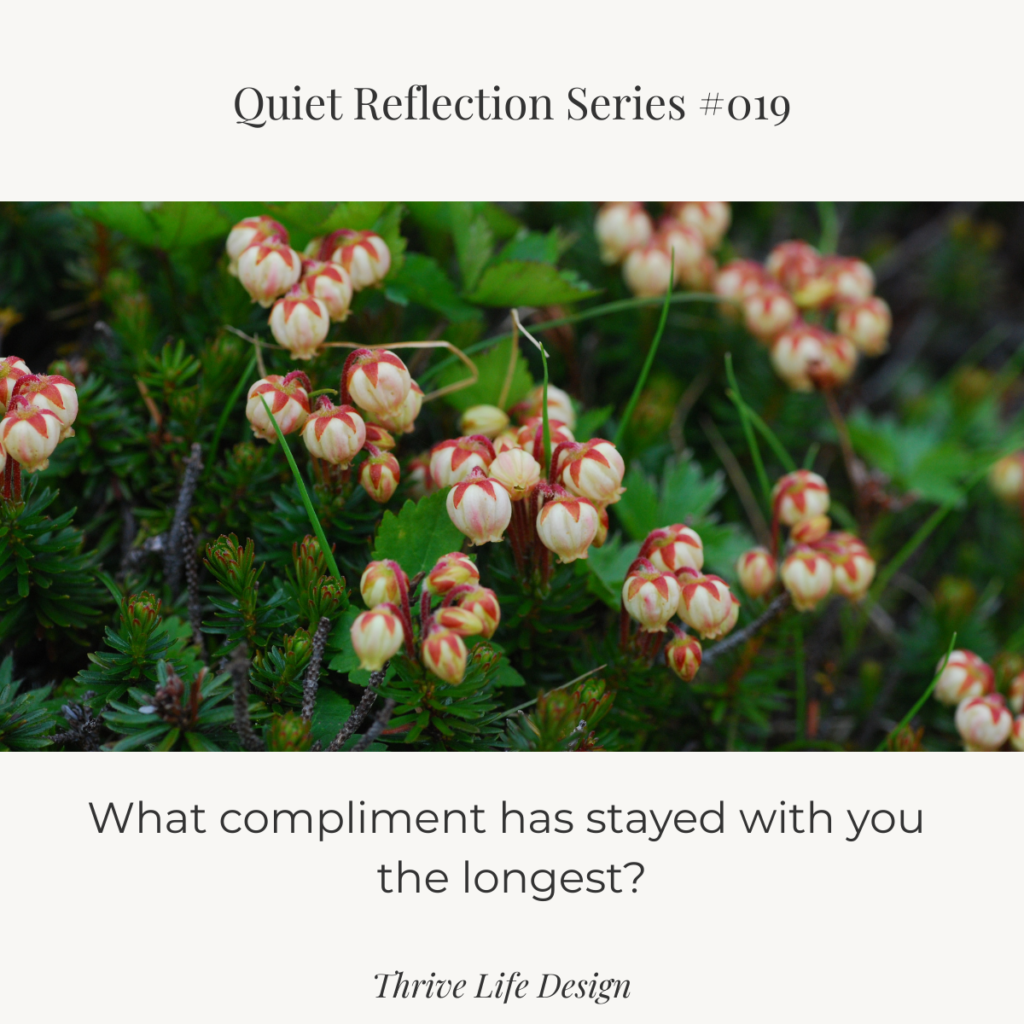 Quiet Reflection Series #19 graphic with a photo of small white-and-orange balloon-shaped flowers. Text reads: “What compliment has stayed with you the longest?” Thrive Life Design.