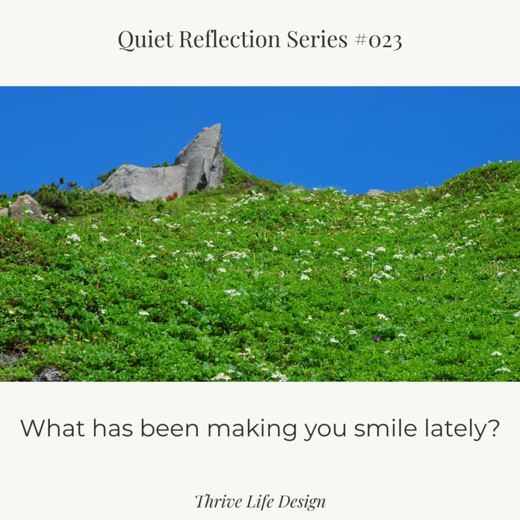 A peaceful view from a grassy hillside with small flowers and rocks, looking up into a clear blue sky.