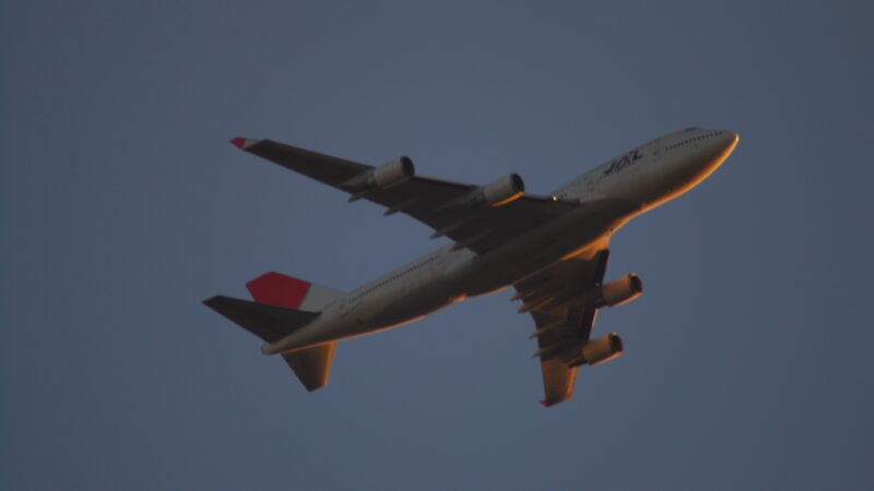 A Japan Airlines airplane descending through the late afternoon sky, approaching landing.